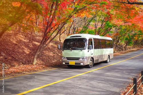 Tourist walking and Shuttle bus passing main road with scenery red and yellow maple tree during autumn in Naejangsan National Park. photo
