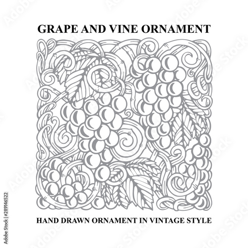 Grapes. Grape and vine engraving style hand drawn vector illustration. Grape and vine ornament. Part of set. 