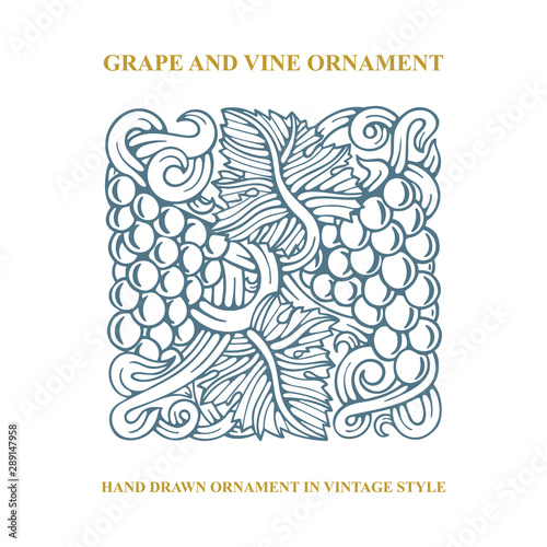 Grapes. Grape and vine engraving style hand drawn vector illustration. Grape and vine ornament. Part of set. 