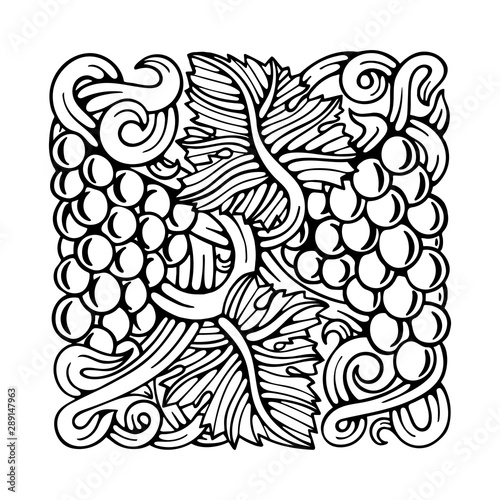 Grapes. Grape and vine engraving style hand drawn vector illustration. Grape and vine ornament. Part of set. 