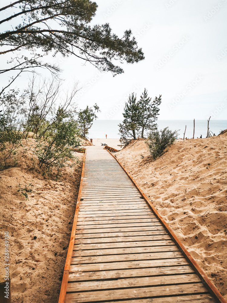 Fototapeta premium wooden walkway to the beach