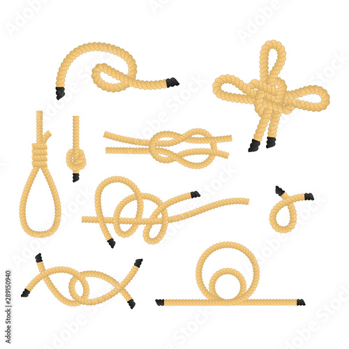 Realistic Detailed 3d Rope Knots Set. Vector