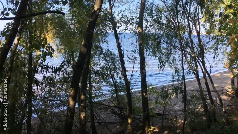 The rays of the sun break through the trees on the banks of the river. Deserted sandy beach. The rays of the sun break through the trees on the banks of the river. Deserted sandy beach.