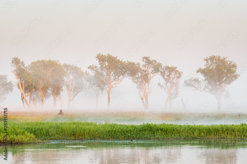 Sunrise at the Yellow Water Cruise, morning mist between trees and smooth water with mirror effect, Kakadu National Park, Northern Territory, Australia