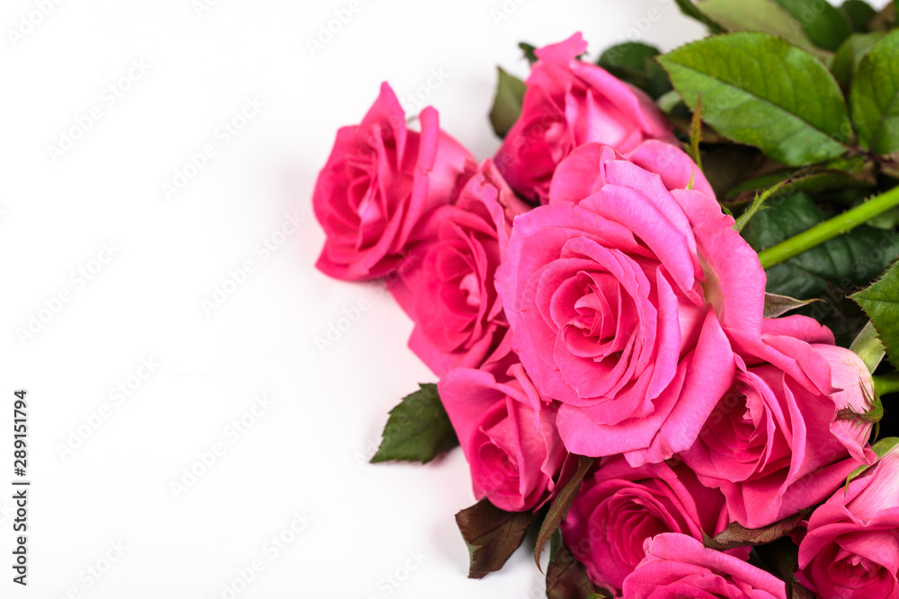 Beautiful rose flowers bunch isolated on white background Beautiful rose flowers bunch isolated on white background