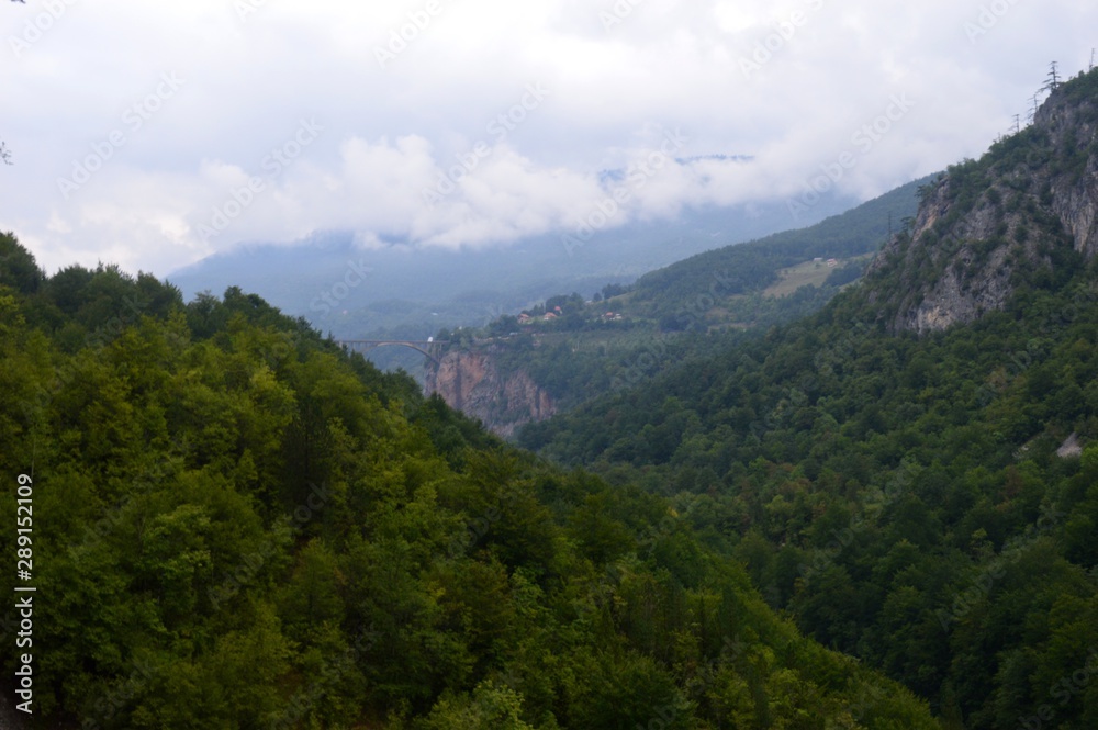 landscape of mountains in forest and clouds