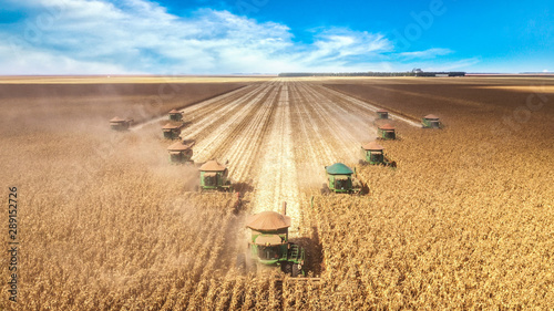 Corn harvesting machines, synchronized operation