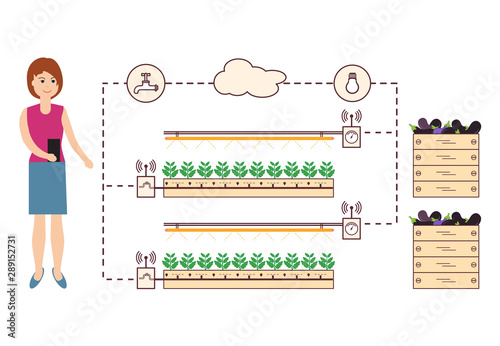 Woman controls the smart farm and agriculture.