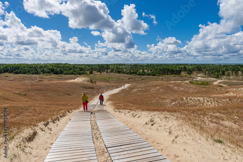 Nagliai nature reserve near Nidden; Curonian Spit; Lithuania photo