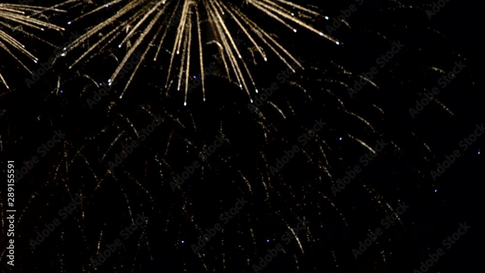 Bright fireworks against the night sky. Fireworks in the night sky.