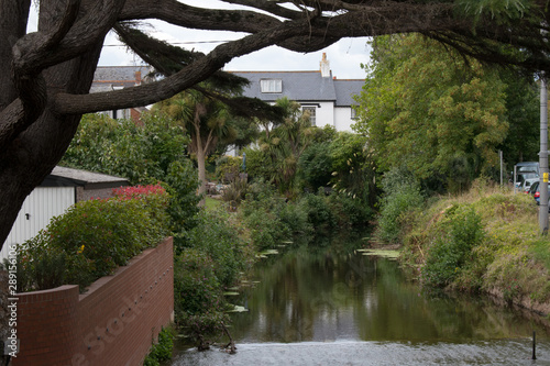 Tree branching over a river
