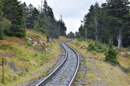 Railways in the middle of the forest