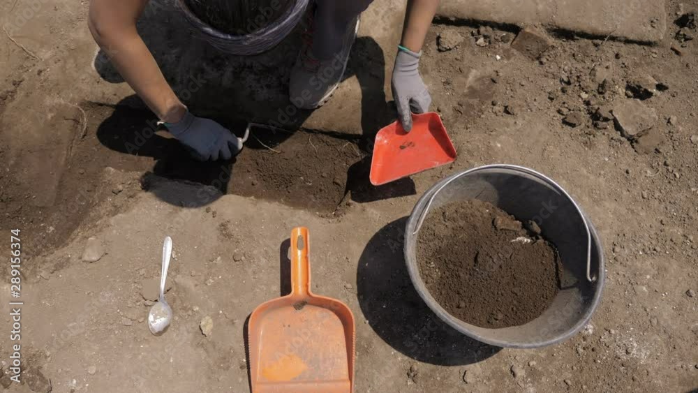 archaeologist hands digging and collecting land.excavations,archaeological dig