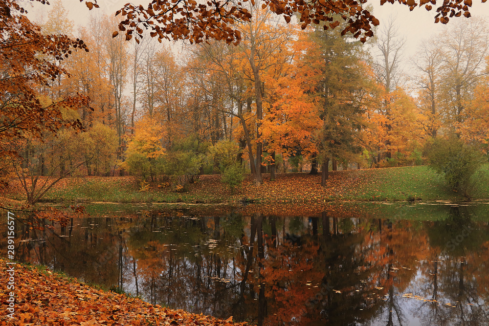 September autumn park in Russia, lake with red leaves and reflection in heavy fog. Beautiful autumn landscape in the park, seasons., A journey through beautiful September autumn park in Russia, lake with red leaves and reflection in heavy fog. Beautiful autumn landscape in the park, seasons., A journey through beautiful