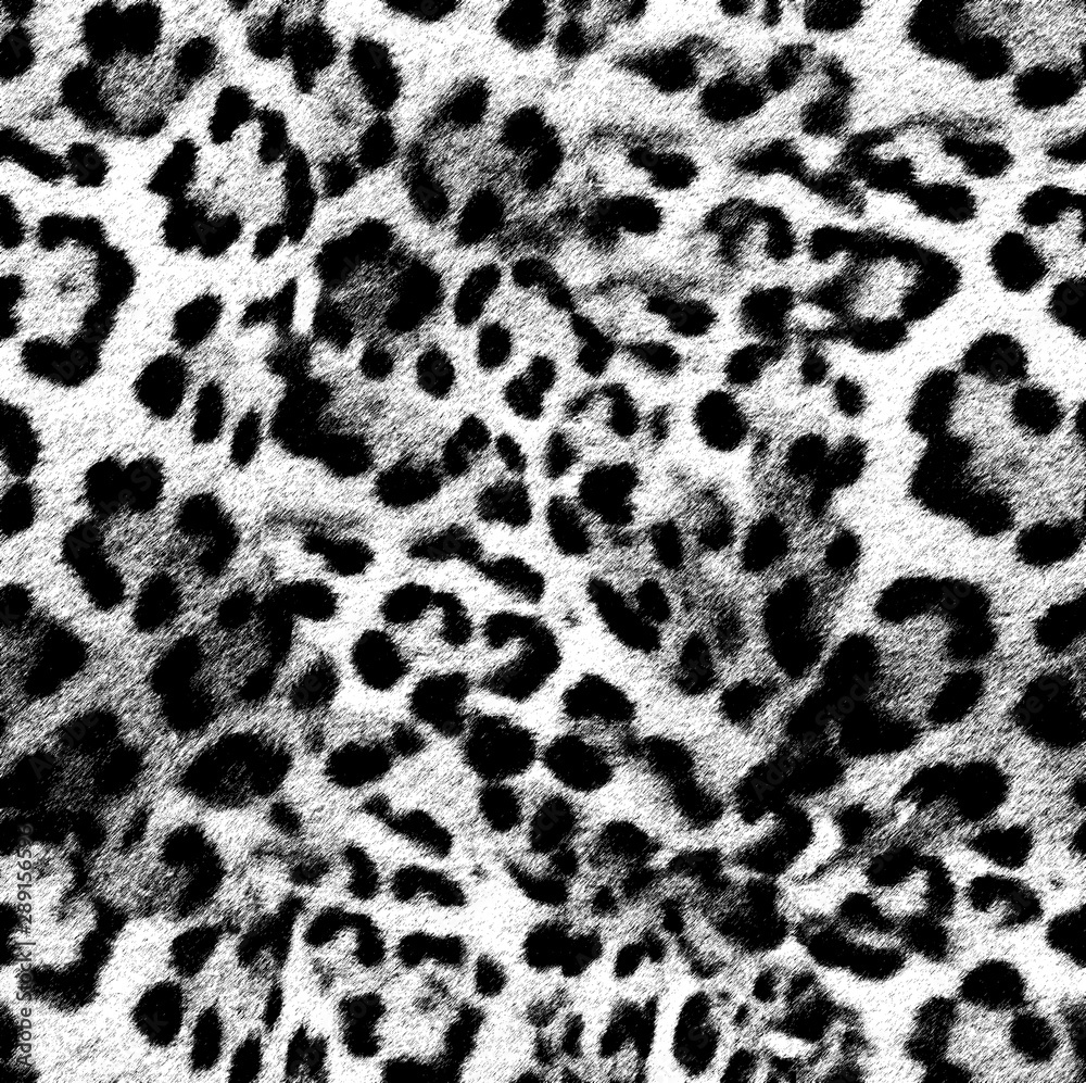 Leopard skin print pattern colored design Leopard skin print pattern colored design