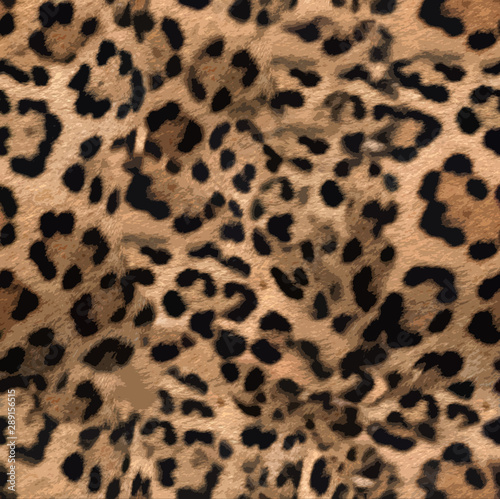 Leopard skin print pattern colored design