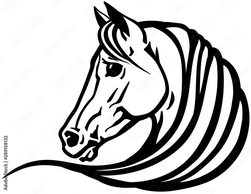 head of Arabian horse in profile. Logo, emblem, tattoo template. Black and white outline vector illustration