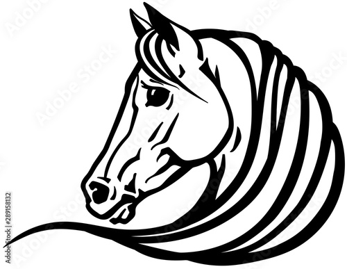 head of Arabian horse in profile. Logo, emblem, tattoo template. Black and white outline vector illustration