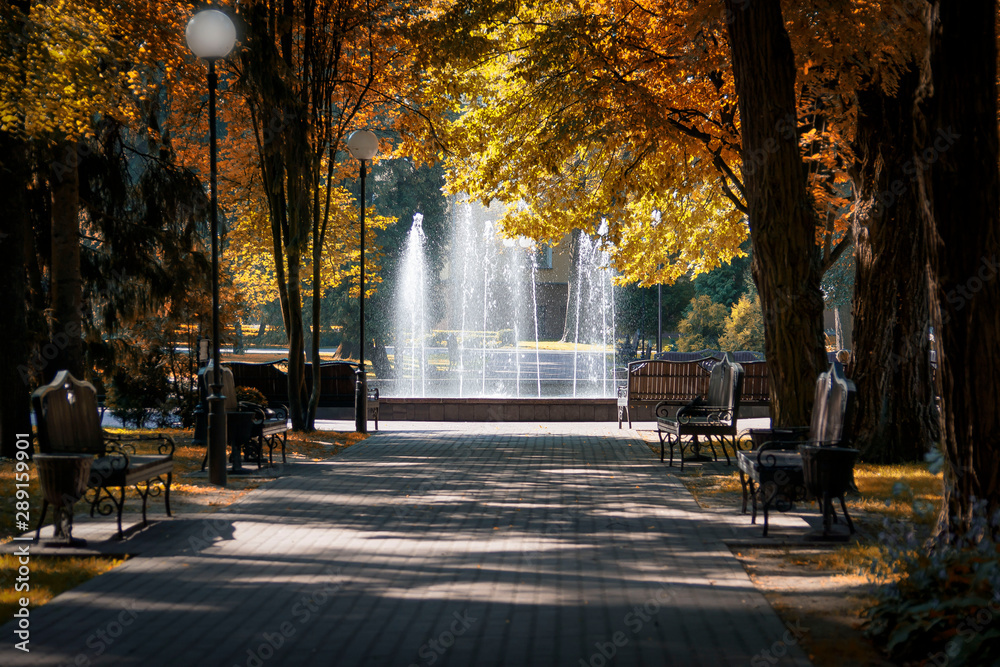 Fototapeta Early autumn park, avenue with benches and a fountain.