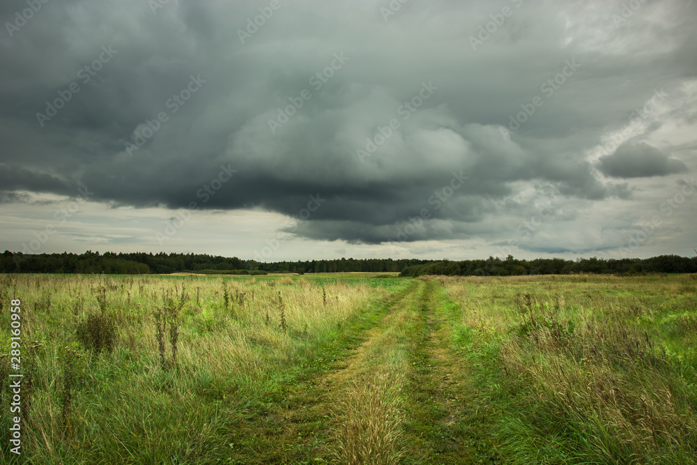 Trail through a wild meadow, horizon and rainy clouds Trail through a wild meadow, horizon and rainy clouds