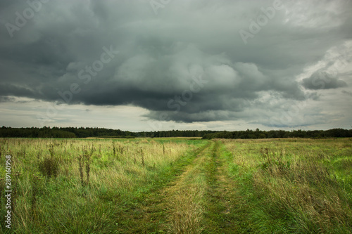 Trail through a wild meadow, horizon and rainy clouds