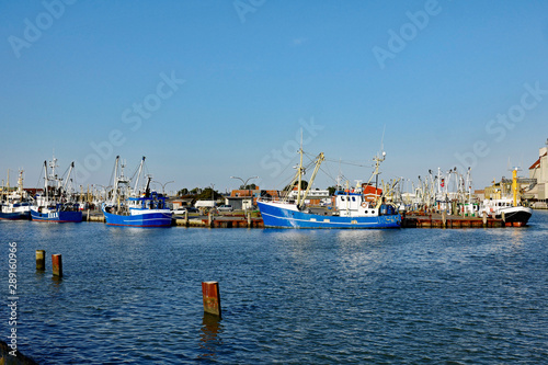 Hafen Büsum © Stephanie Albert