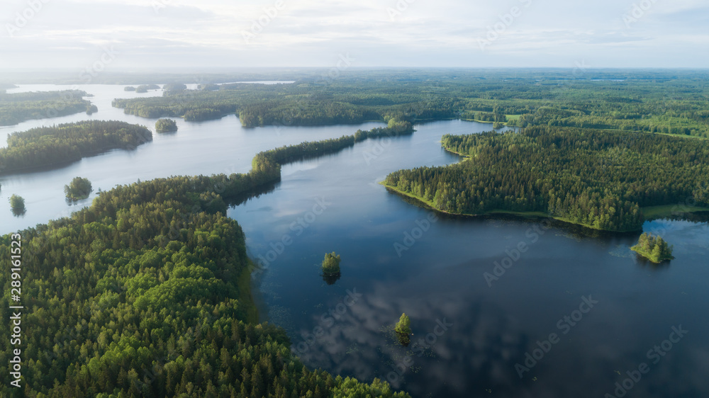  Lake system surrounded with green forest in Finland, aerial landscape. Nature exploration concept.