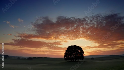 Sunrise over a tree near the Yorkshire Dales village of Eshton a small village and civil parish in the Craven district of North Yorkshire, England. At the 2011 Census the population was less than 100  photo