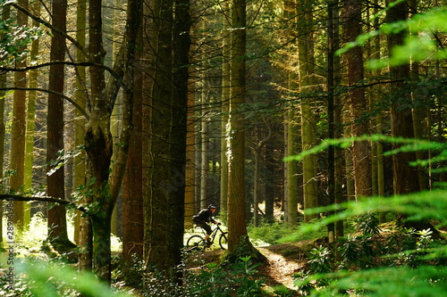 Fototapeta Naklejka Na Ścianę i Meble -  Outdoor bike sport in Tollymore Forest Park, Down, Northern Ireland