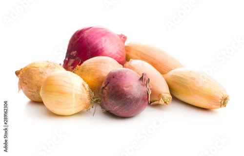 The golden shallot onion. Fresh bulbs.