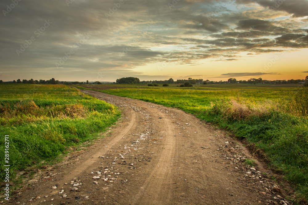 Dirt road with stones, horizon and evening sky