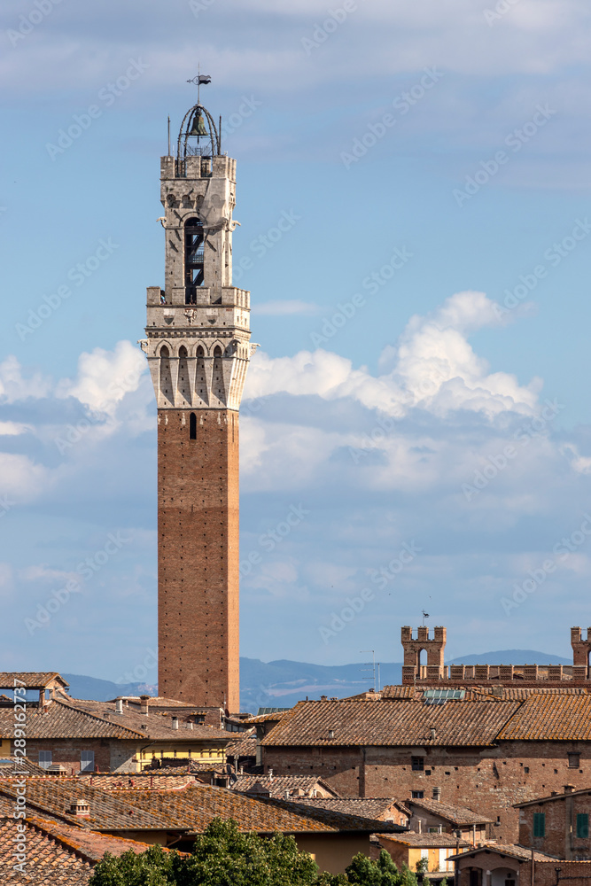 the torre del mangia, Siena - Italy