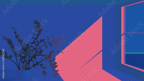 tropical plants and windows light minimal background