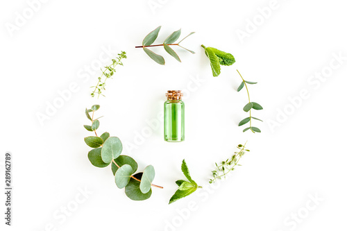 Essential oil and round wreath frame made of mix of herbs, green branches, leaves mint, eucalyptus, thyme and plants collection on white background. Set of medicinal herbs. Flat lay. Top view.