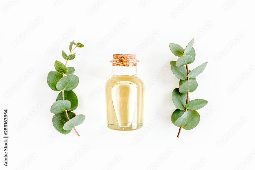 Essential oil and green branches, leaves eucalyptus on white background. Medicinal herbs. Flat lay. Top view. - obrazy, fototapety, plakaty 