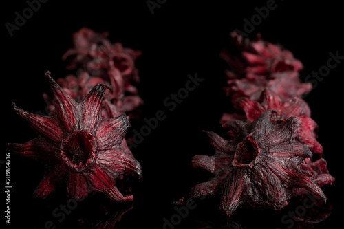 Lot of whole sweet red candied hibiscus isolated on black glass