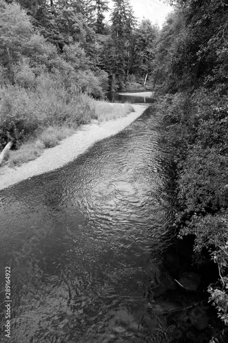 River at Shafer photo