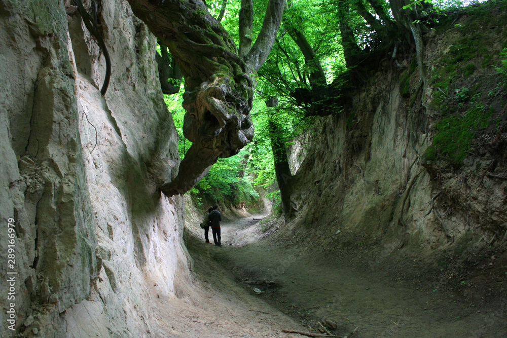 Tourists in the gully (Korzeniowy Dol) near Kazimierz Dolny, Poland