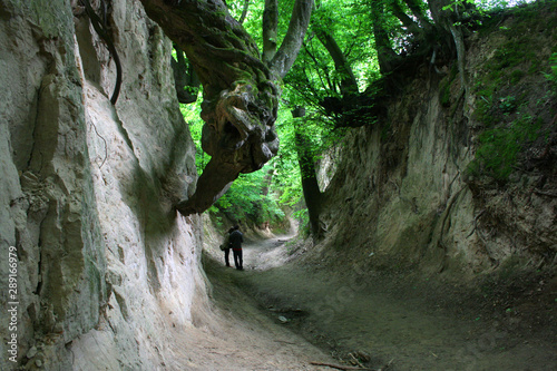 Obraz na płótnie Tourists in the gully (Korzeniowy Dol) near Kazimierz Dolny, Poland w salonie