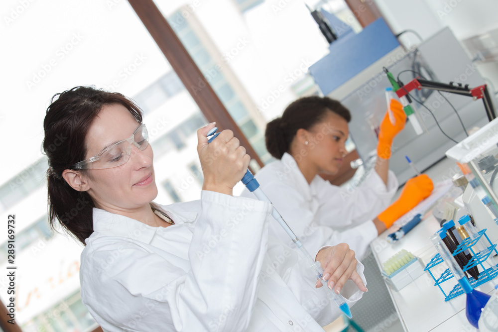 concentrated young female scientist holding test tube concentrated young female scientist holding test tube