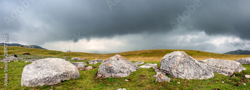 Stecci in Durmitor National Park in northeastern Montenegro. These mysterious carved tomb stone monuments date from the twelveth to sixteenth centuries. photo