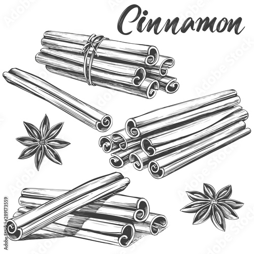 cinnamon seasoning ingredient for cooking food isolated on white background hand drawn vector illustration realistic sketch