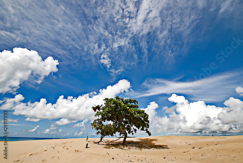 Itaunas dunes  photographed in Conceicao da Barra, Espirito Santo. Southeast of Brazil. Atlantic Forest Biome. Picture made in 2010. photo