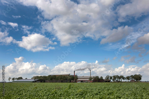 Grass drying industry. Netherlands. Clouds