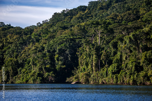 Forest and lagoon photographed in the city of Cariacica  Espirito Santo. Southeast of Brazil. Atlantic Forest Biome. Picture made in 2012.