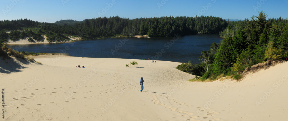 Εκτύπωση καμβά Jessie M. Honeyman Memorial State Park, Oregon Dunes USA