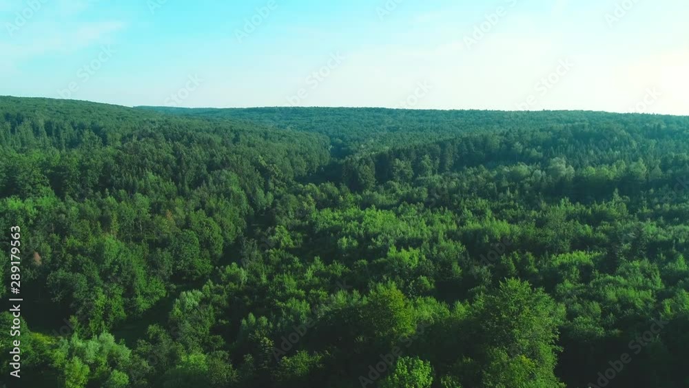 4K aerial of flying over a beautiful green forest in a rural landscape. 4K aerial of flying over a beautiful green forest in a rural landscape.
