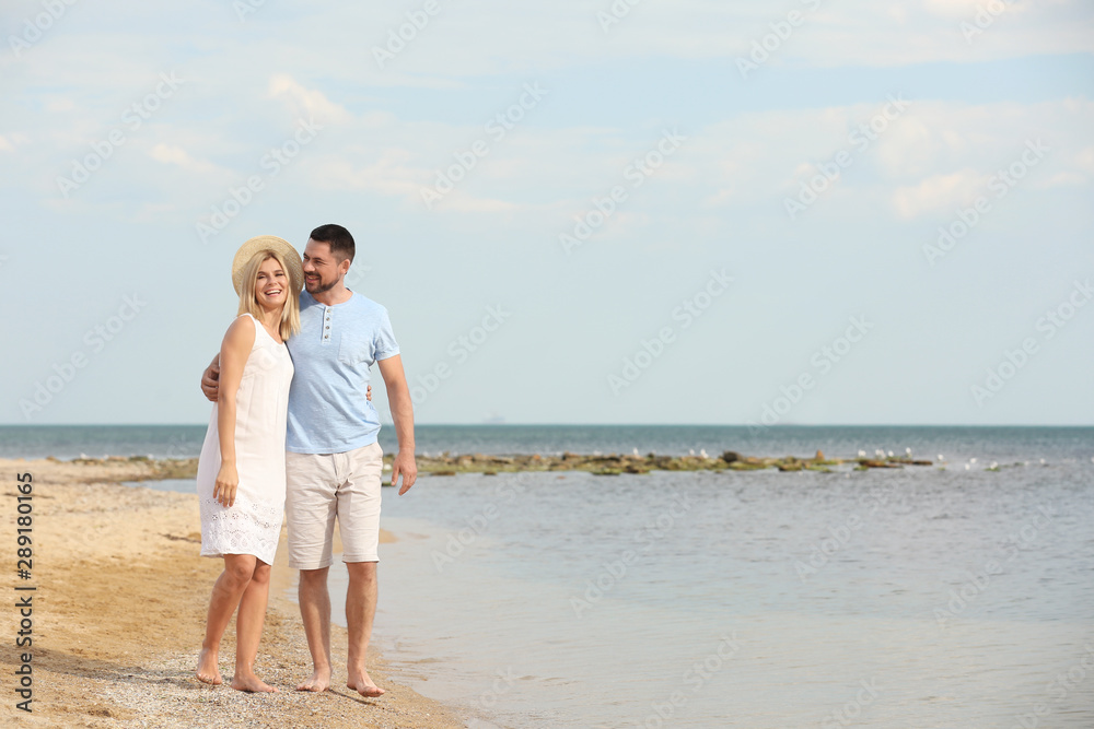 Happy romantic couple walking on beach, space for text