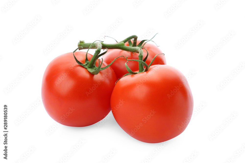 Branch of ripe red tomatoes on white background Branch of ripe red tomatoes on white background