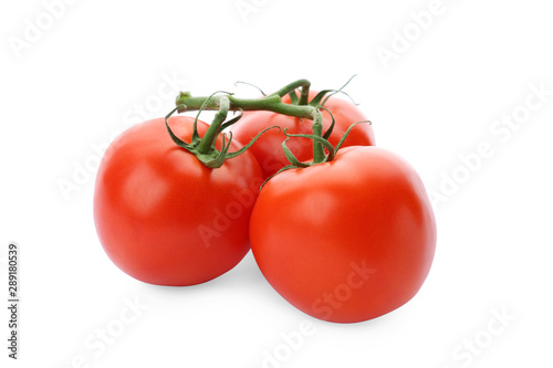 Branch of ripe red tomatoes on white background